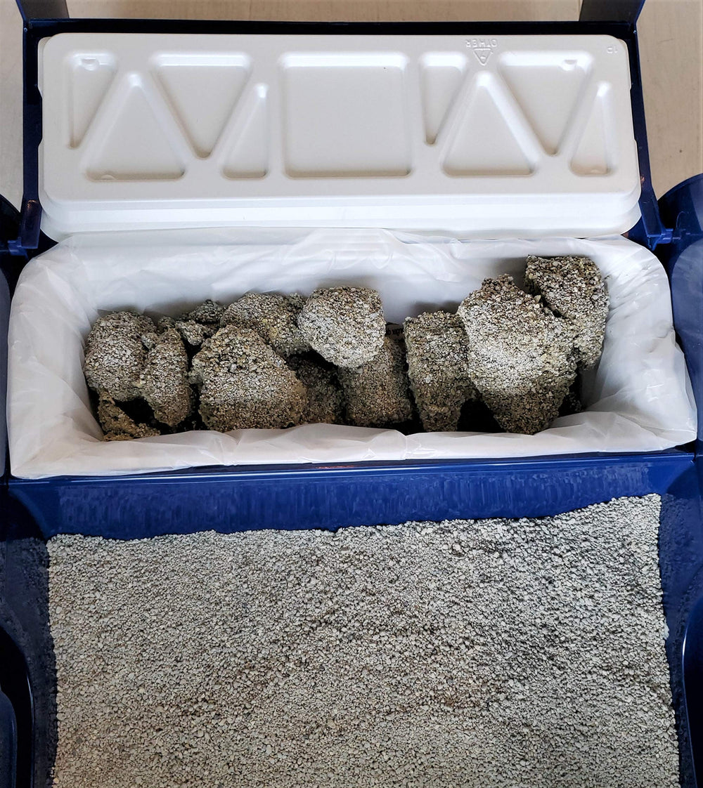 EcoLeo liner in a LitterMaid self-cleaning litter tray.