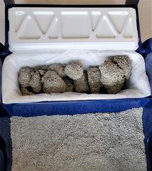 EcoLeo liner in a LitterMaid self-cleaning litter tray.