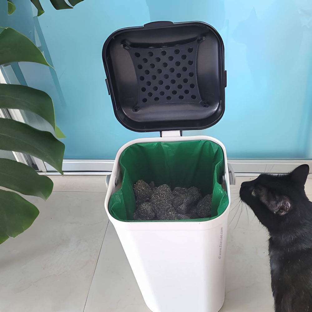 EcoLeo rescue donation program supports homeless cats and rescue groups.