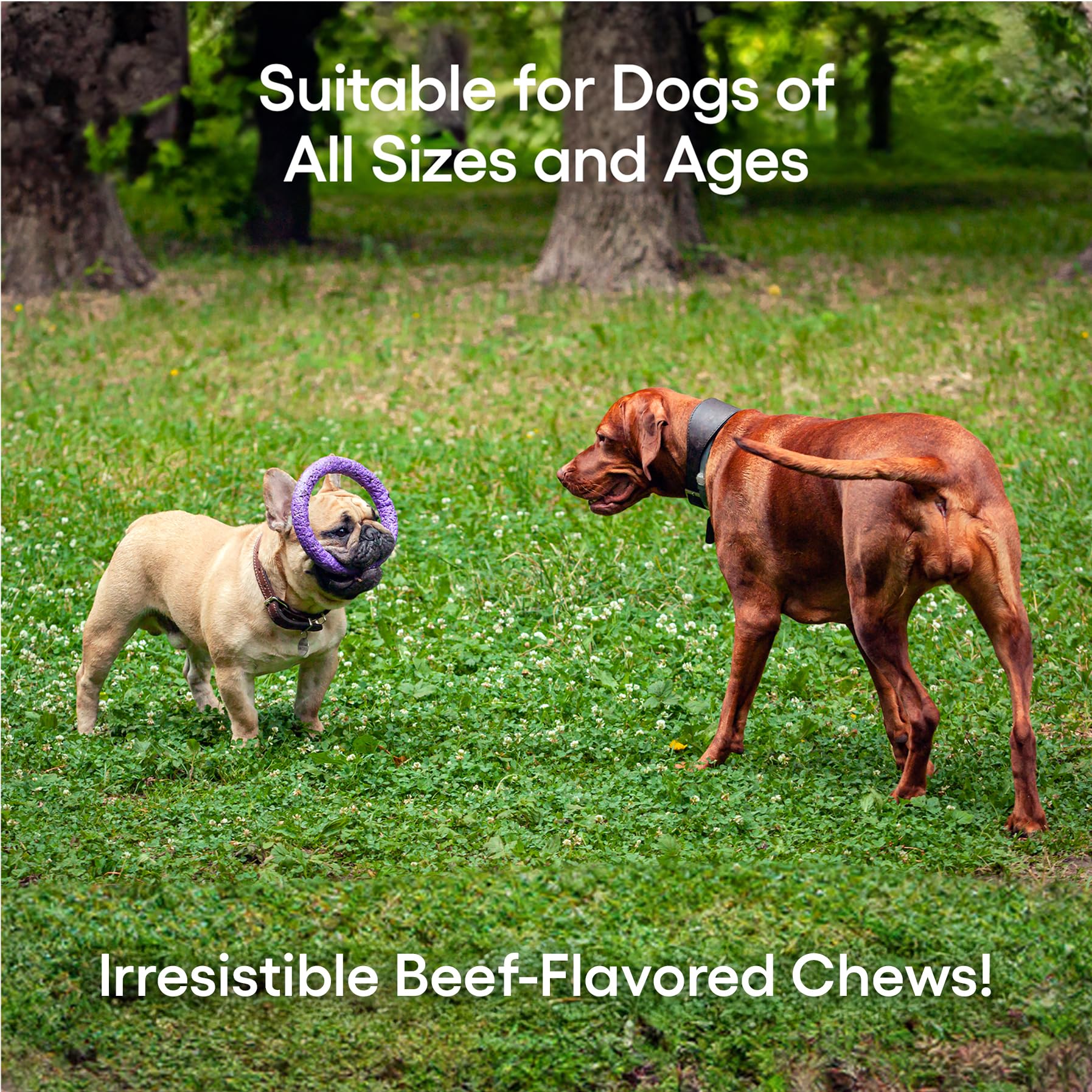 EcoNugenics PectaPaws for all dog sizes illustration, from puppy to senior.