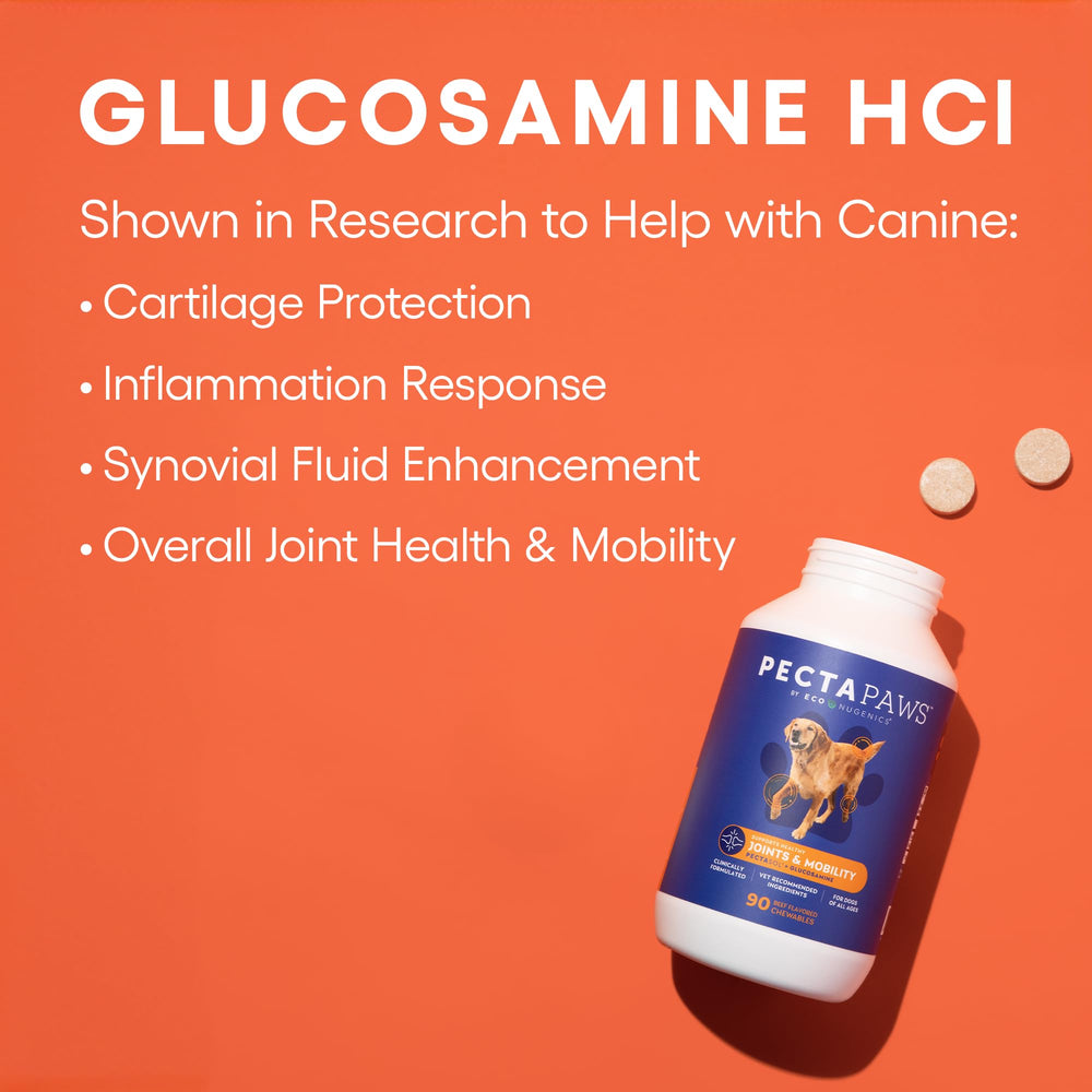 EcoNugenics PectaPaws concept image illustrating toxin binding and safer toxin removal.