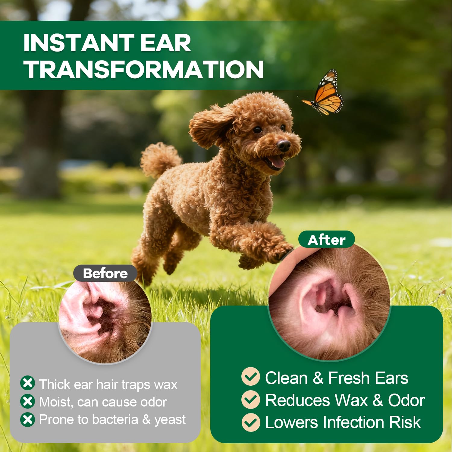 EcoStylife packaging shows complete ear care tools for pets