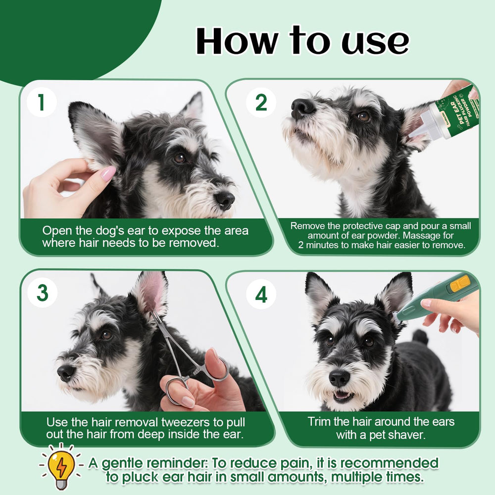 EcoStylife quiet, low-noise grooming tools for calmer sessions.
