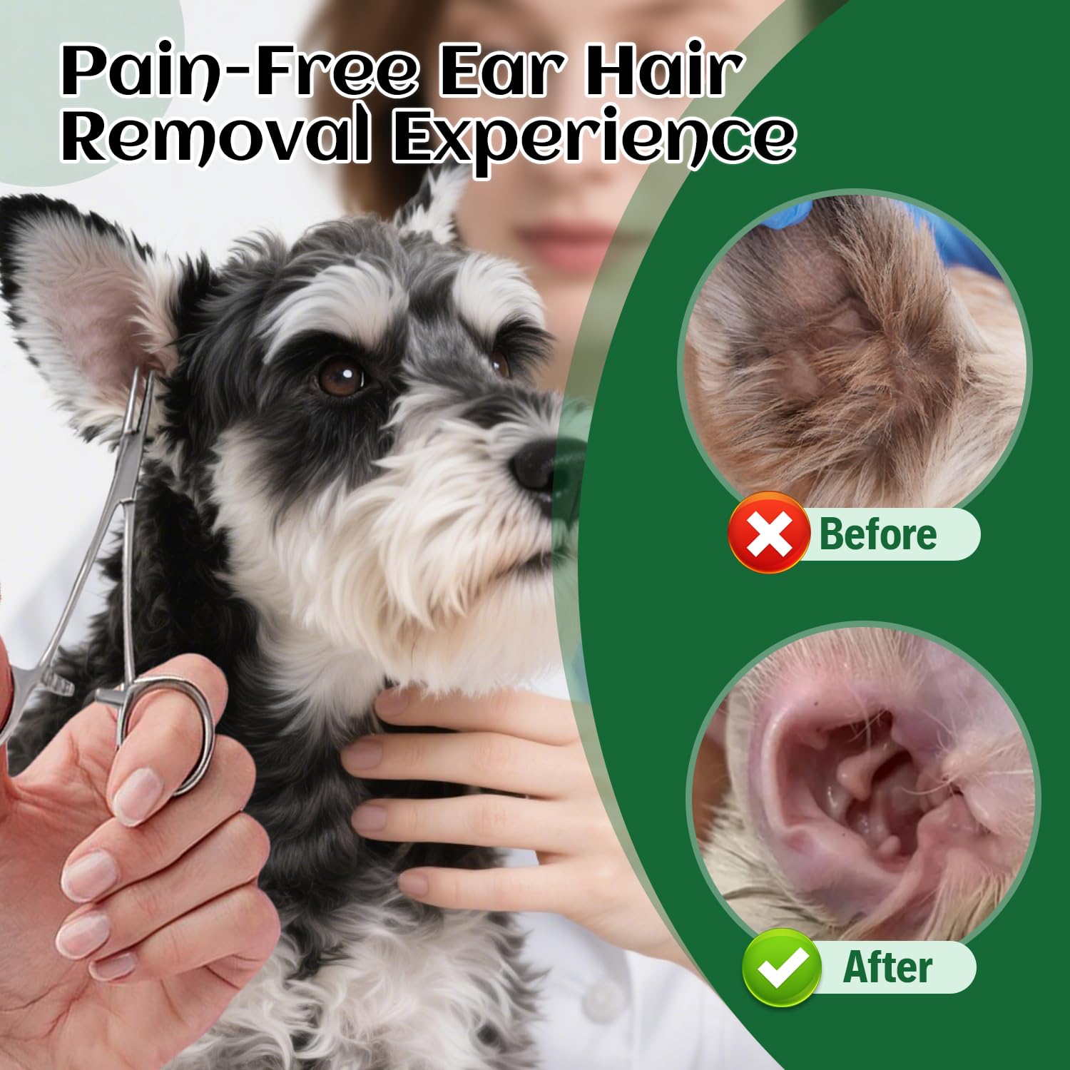 Stainless steel hemostat with serrated tip for secure control during grooming.