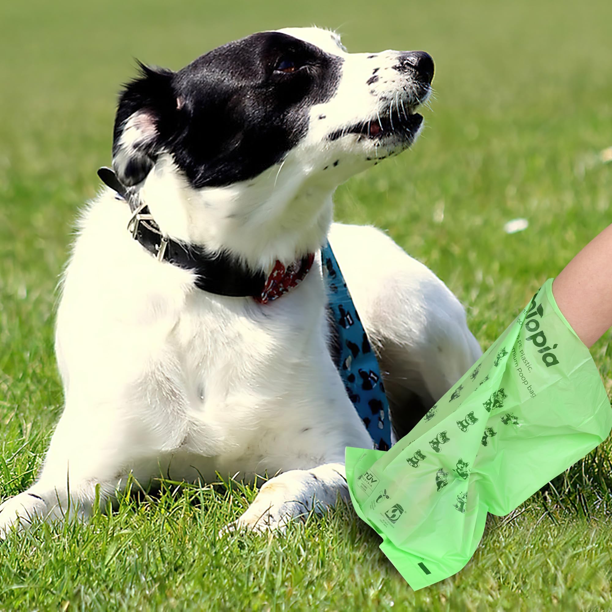 EcoTopia everyday use bags support quick, mess free park and trail cleanups.
