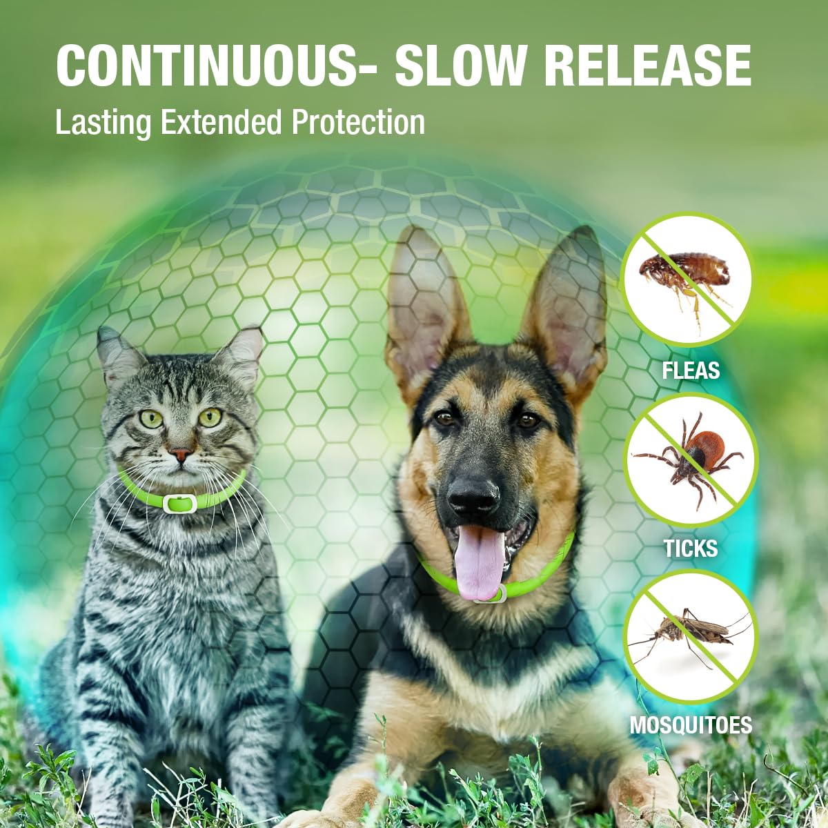 EcoVenger flea collar on a cat, green design, comfort during daily play.