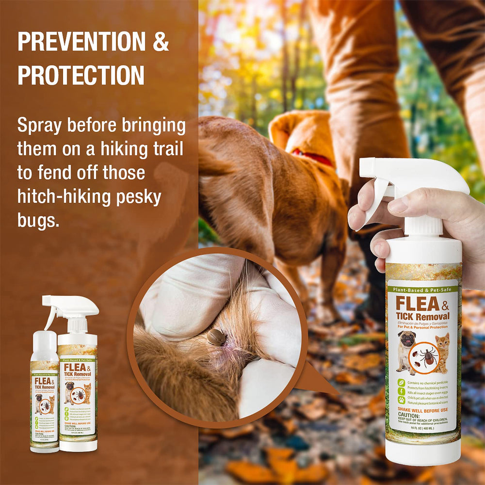 EcoVenger is safe for kids and pets when used as directed.