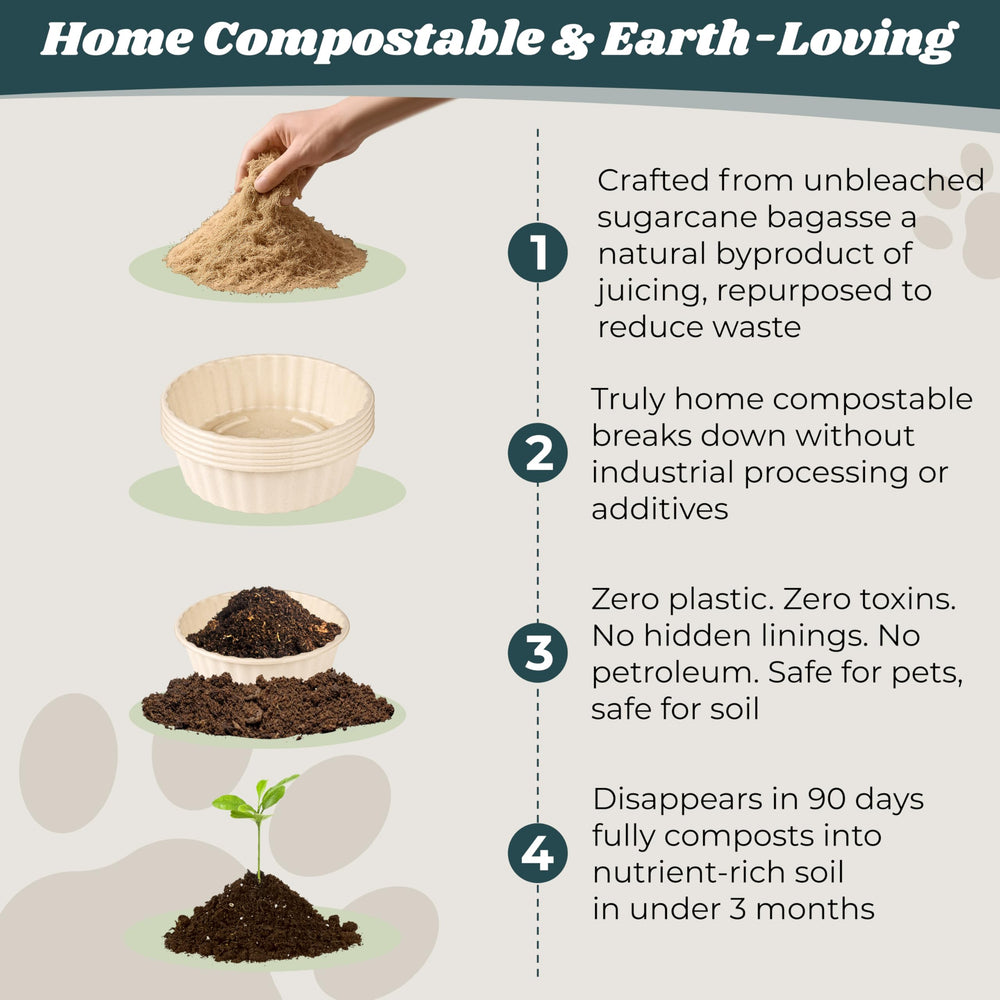 EcoWag leak‑resistant bowls paired with a base prevent spills during meals.