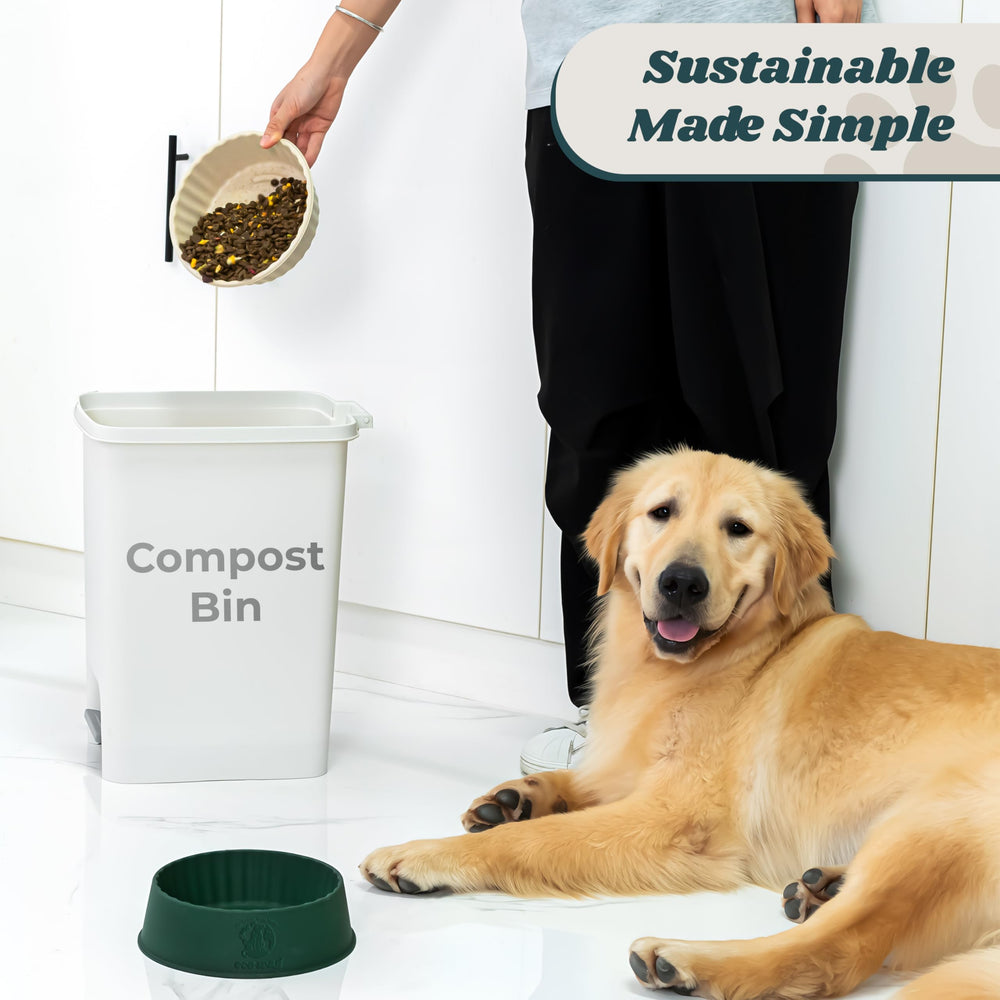 EcoWag mealtime scene with various pets using the system for easy feeding.