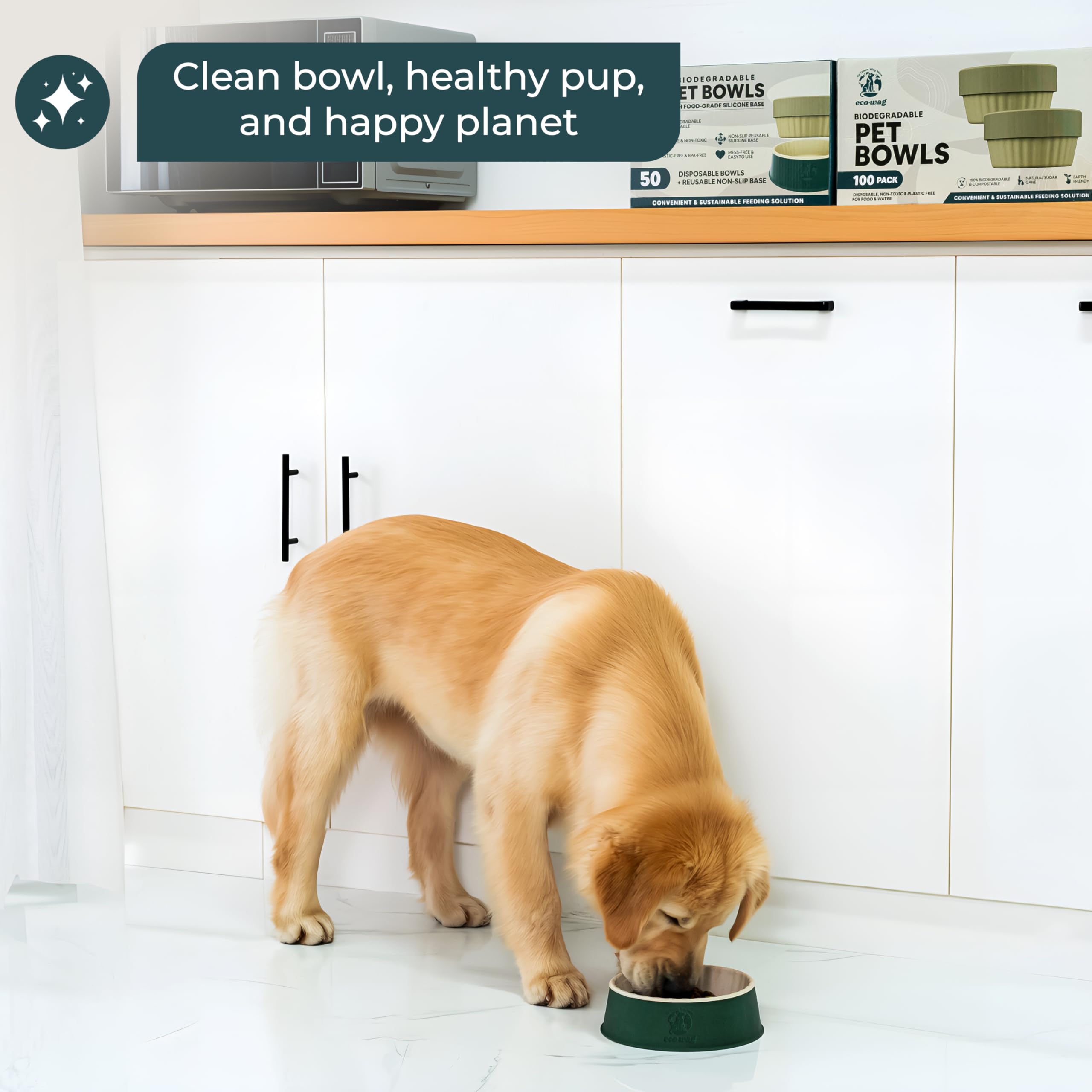 EcoWag single-use bowls promote hygienic mealtimes for pets and owners alike.