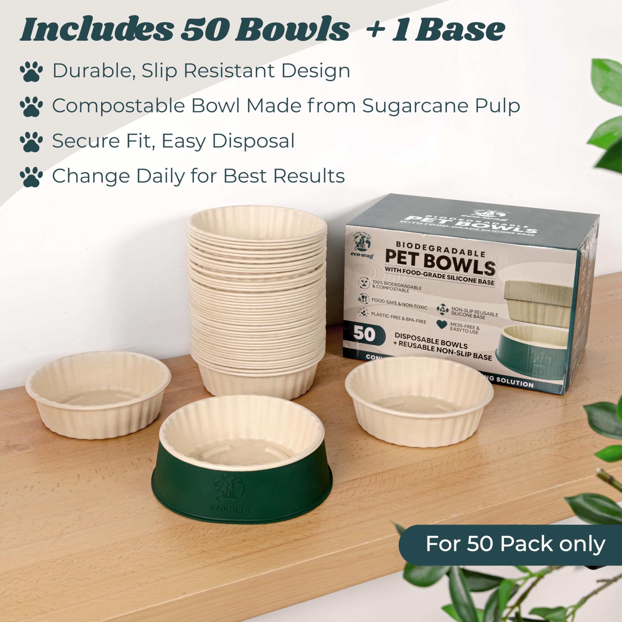 EcoWag sustainable feeding setup appeals to eco-conscious households seeking cleaner routines.