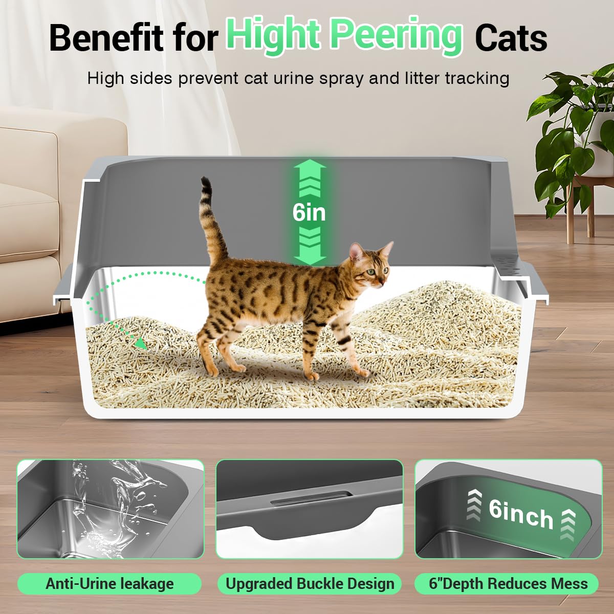 Ecsdsvsd XL interior provides space for large cats to move comfortably.