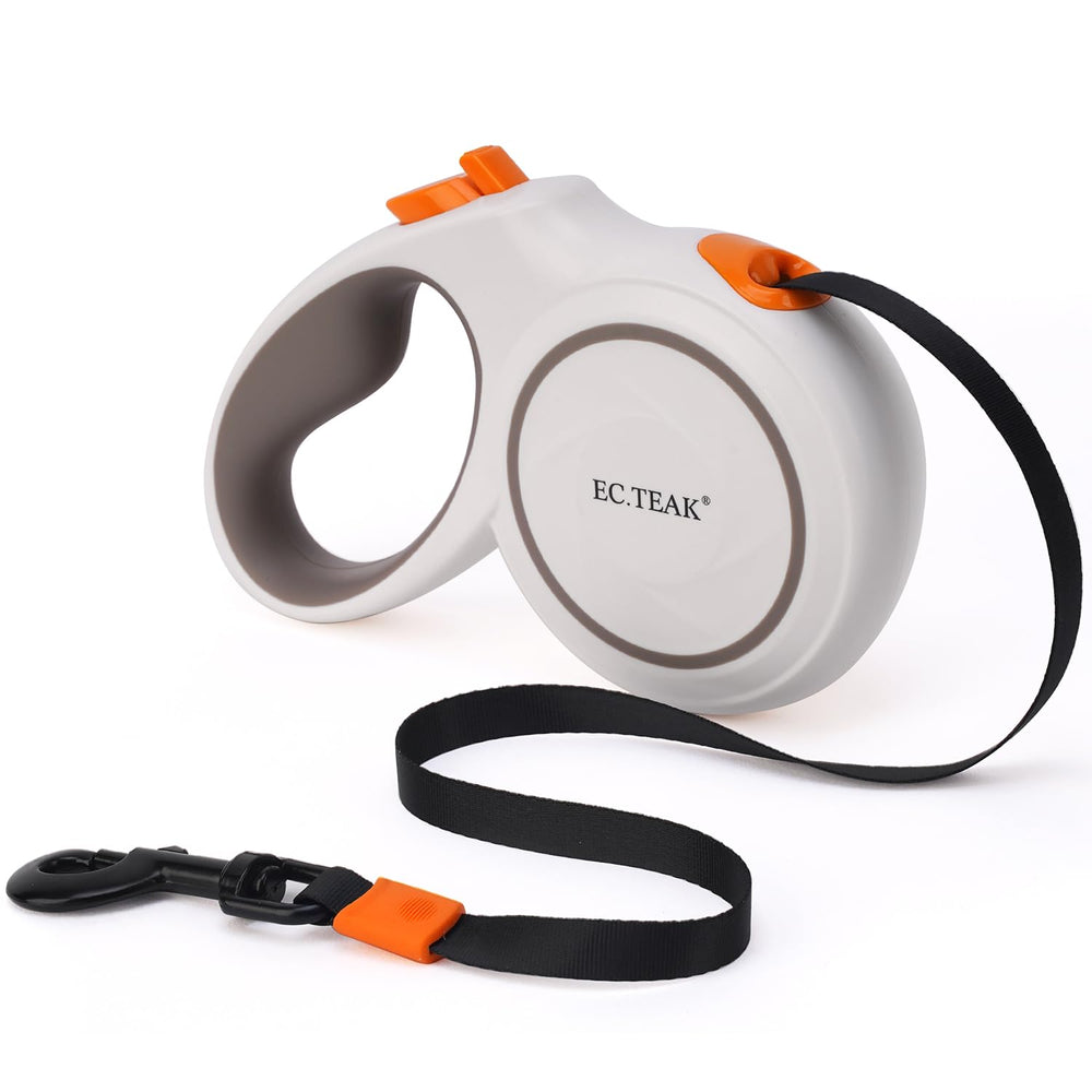 EC.TEAK retractable leash ready for everyday walks and neighborhood exploration.