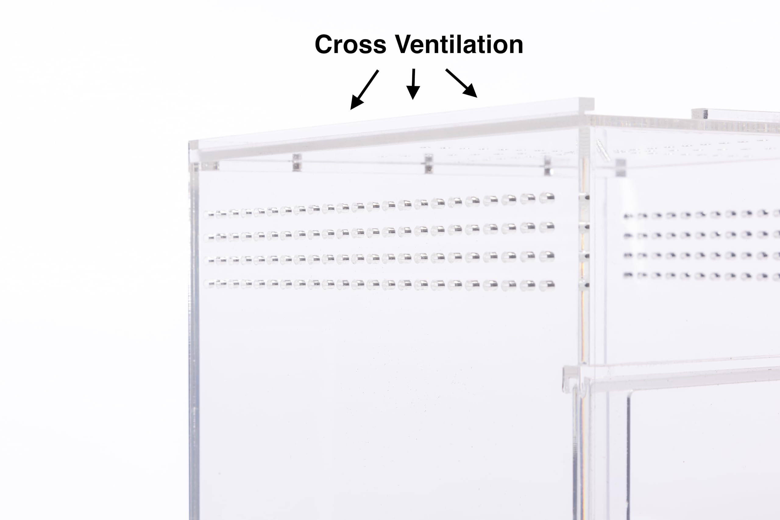 EctoTherm Jumping Spider Enclosure decor-ready setup for immersive habitat styling.
