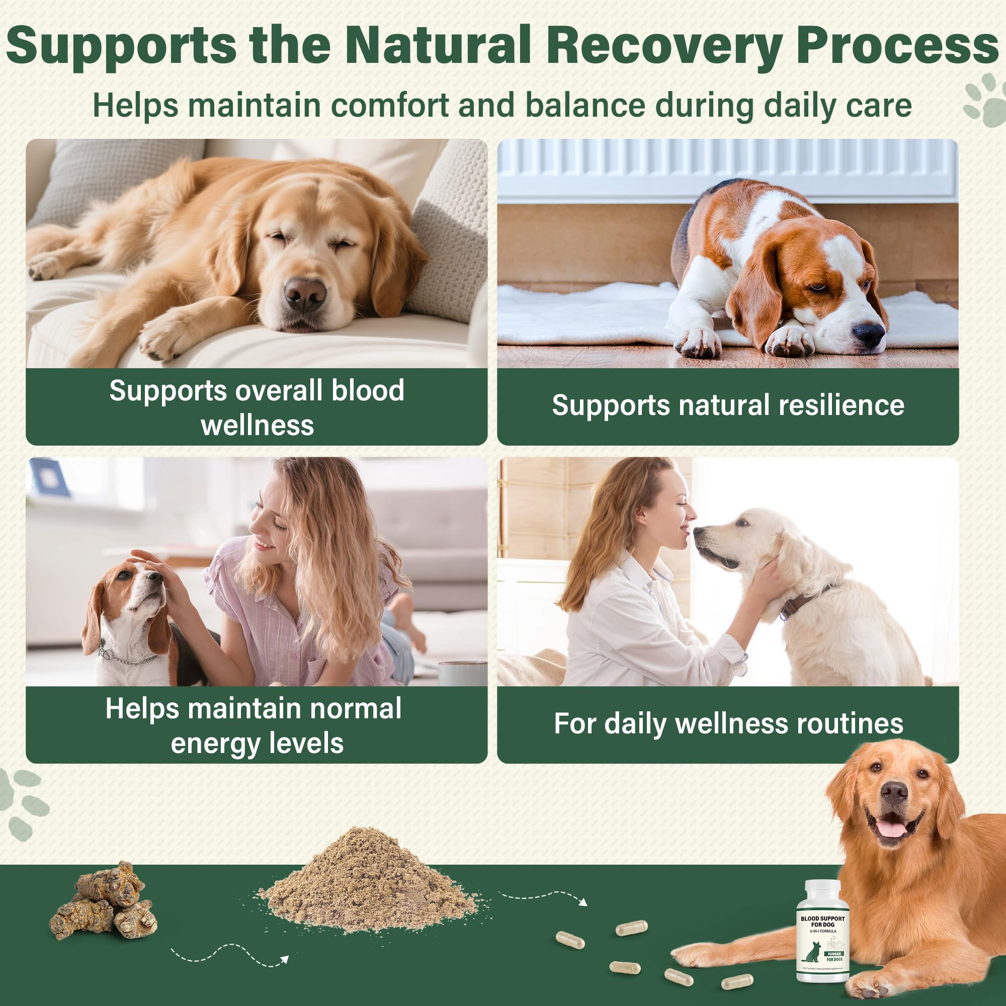 edoia daily wellness routine for dogs with herbal capsules.