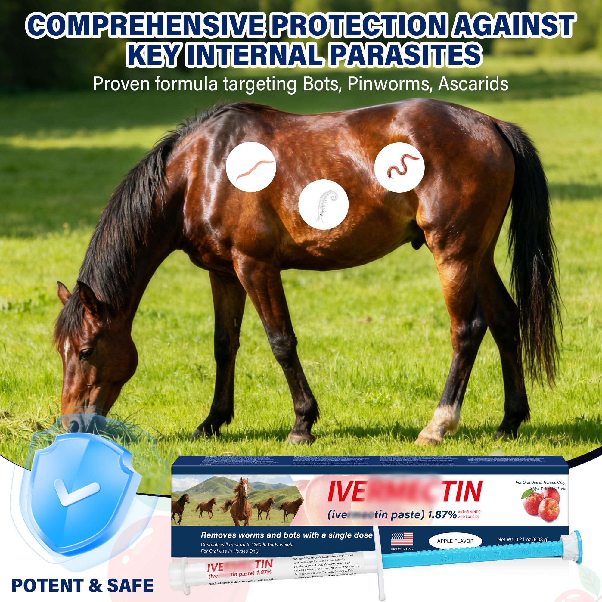 edoia Equine Paste syringe with apple flavor for easy dosing and acceptability