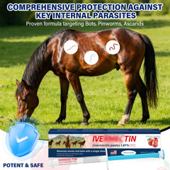 edoia Equine Paste syringe with apple flavor for easy dosing and acceptability