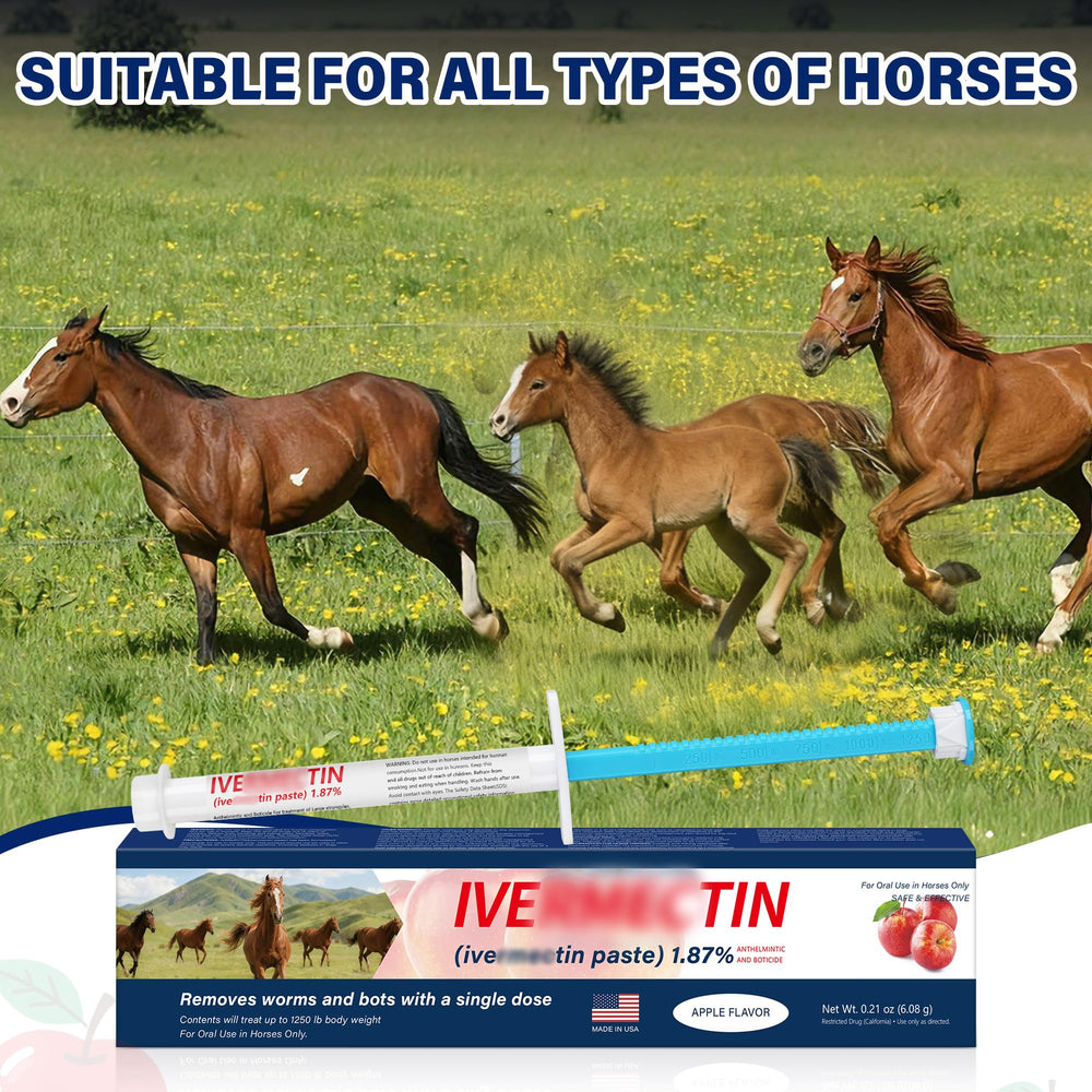 edoia Equine Paste in barn scene illustrating practical care routine use