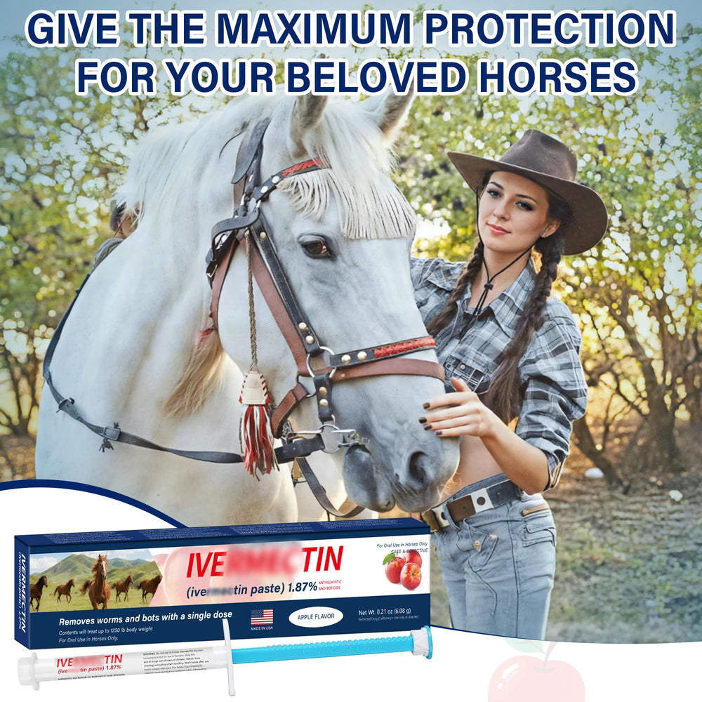 edoia Equine Paste boxed pack display for multi-pack convenience