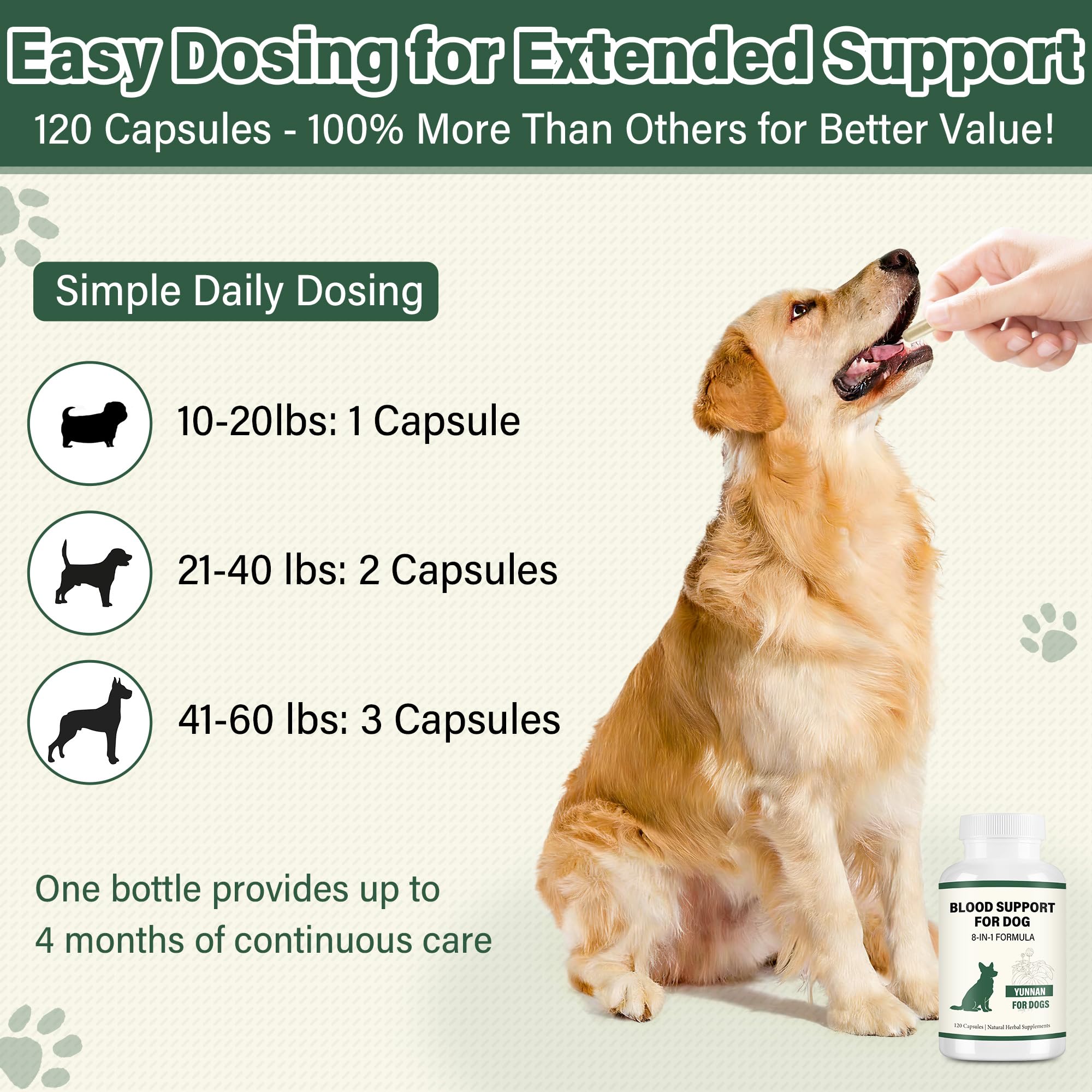 edoia quality care pet supplement close-up demonstrates product details.