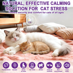 edoia refills extend calming coverage across multiple rooms