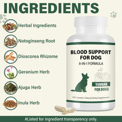 edoia traditional herbal Sanqi formula for holistic dog wellness.