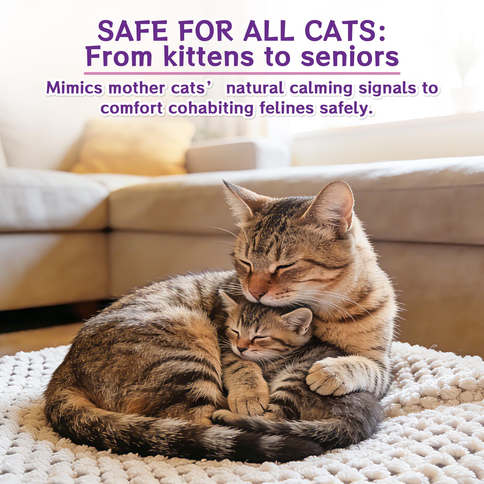 edoia vet-recommended diffuser supports cat relaxation in busy homes