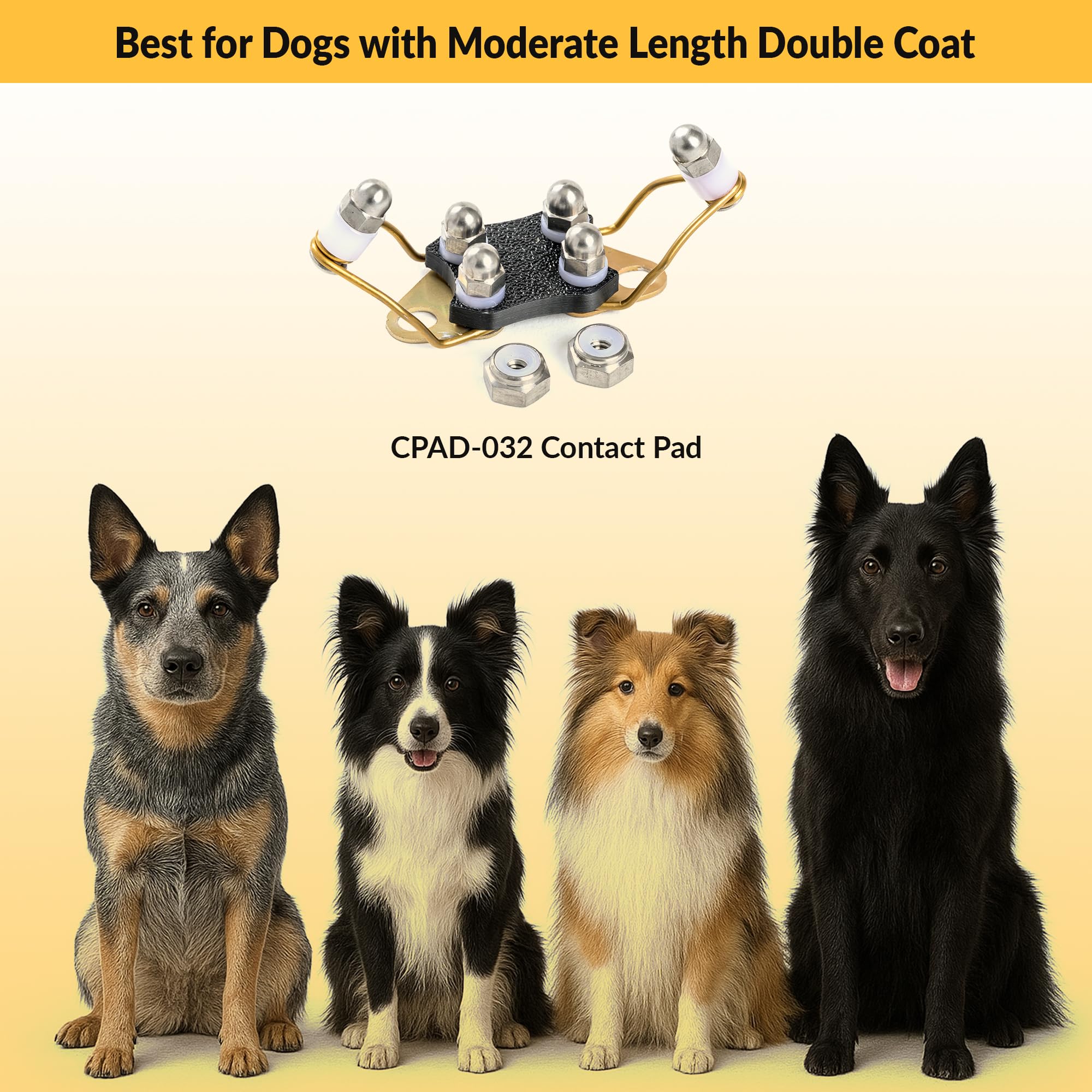 Dog wearing Educator collar with CPAD-032 during training.