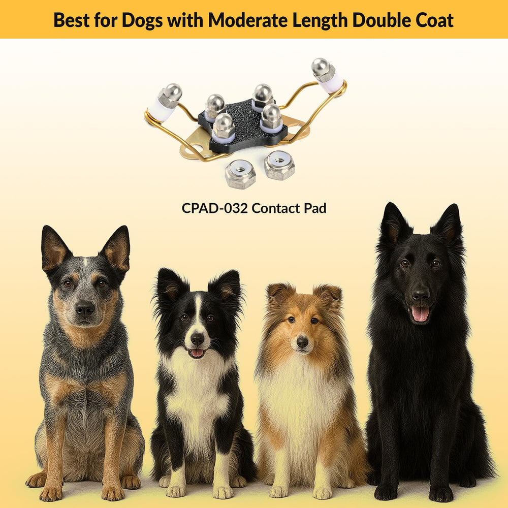 Dog wearing Educator collar with CPAD-032 during training.
