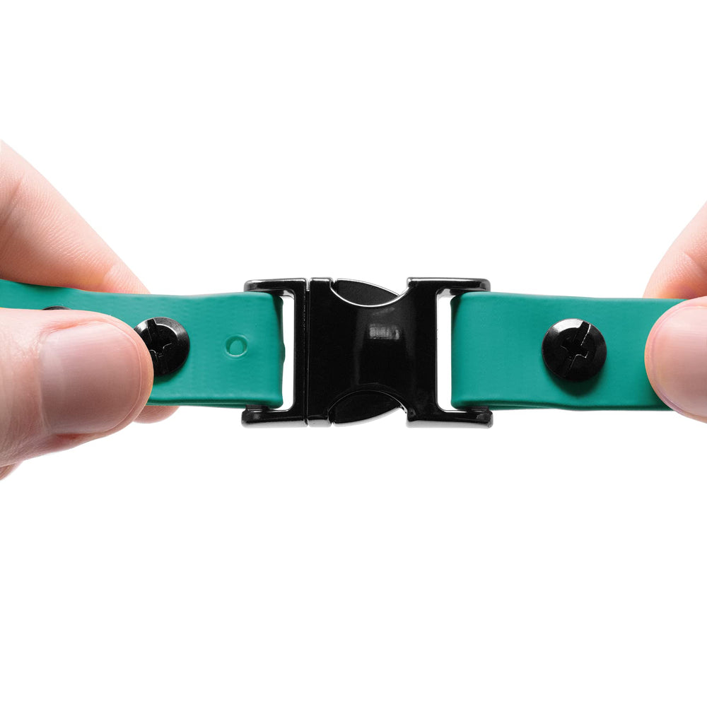 Educator heavy-duty D-ring supports ID tags and leash attachment