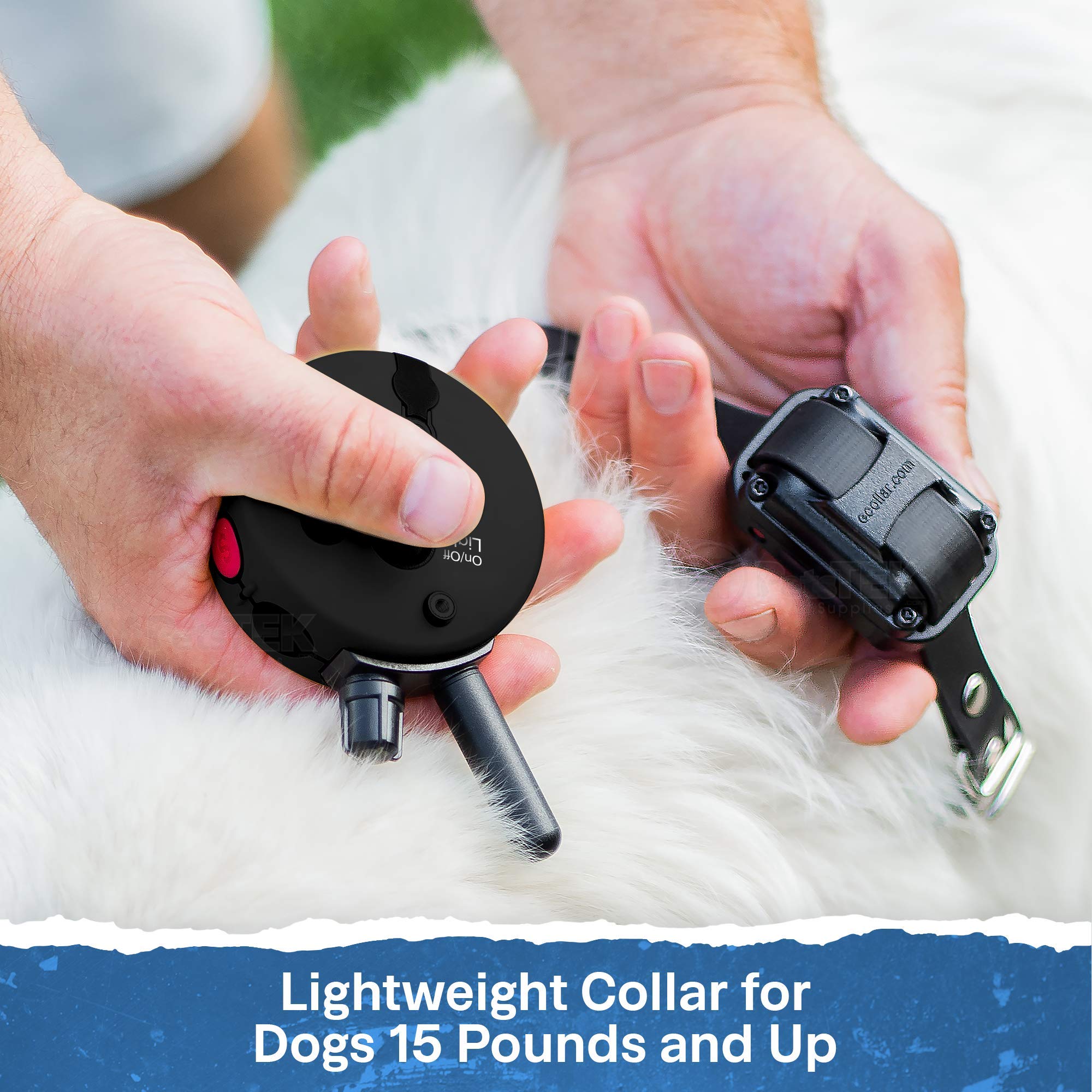 Educator ET-300 durable-build designed for active dogs and rough play