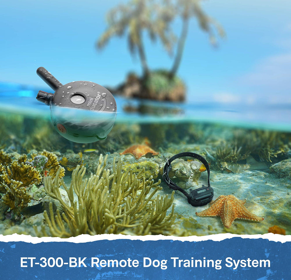 Educator ET-300 expandable-2-dogs option for two pets with one setup