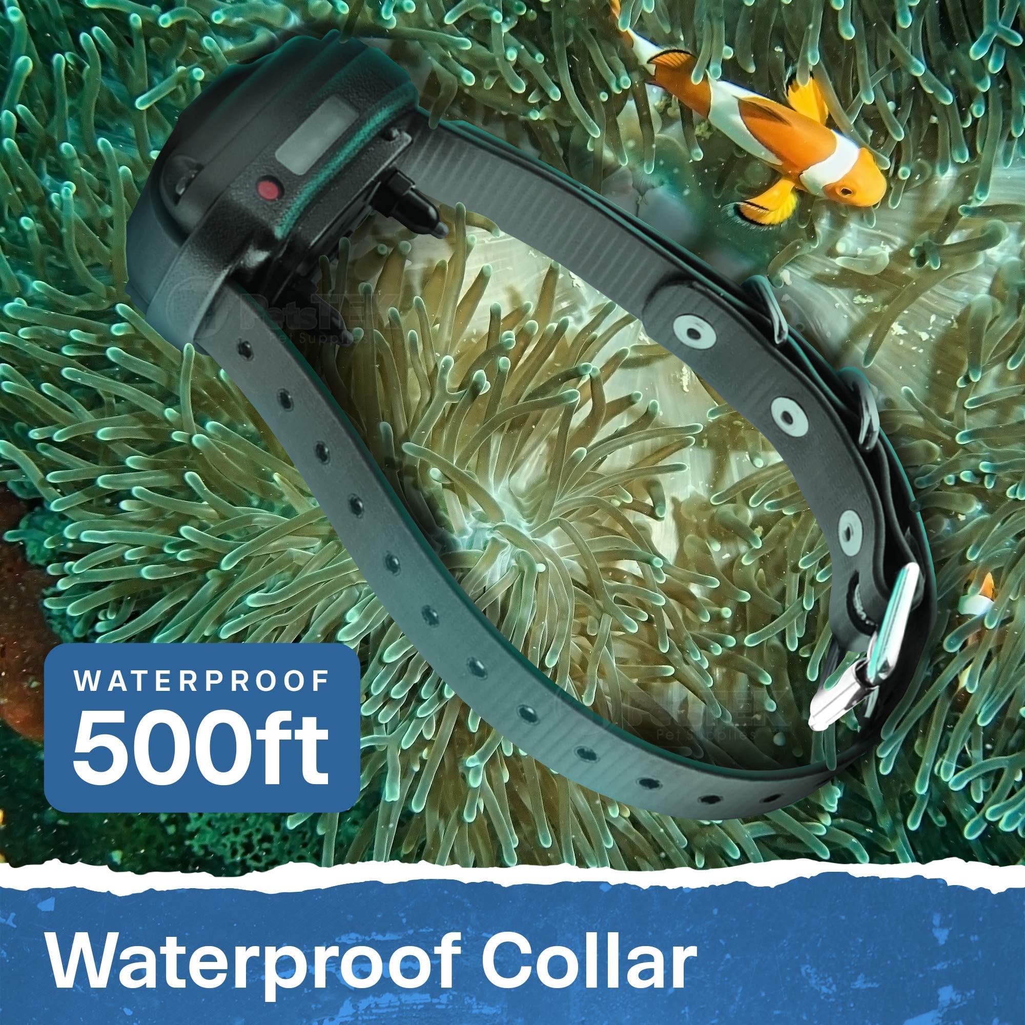 Educator ET-300 Mini E Collar compact fit on small dogs.