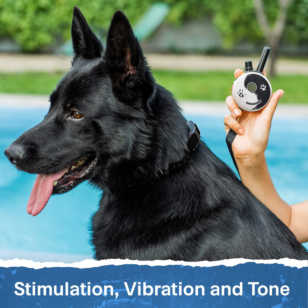 Educator ET-300 Zen Mini E Collar features vibration mode for optional feedback