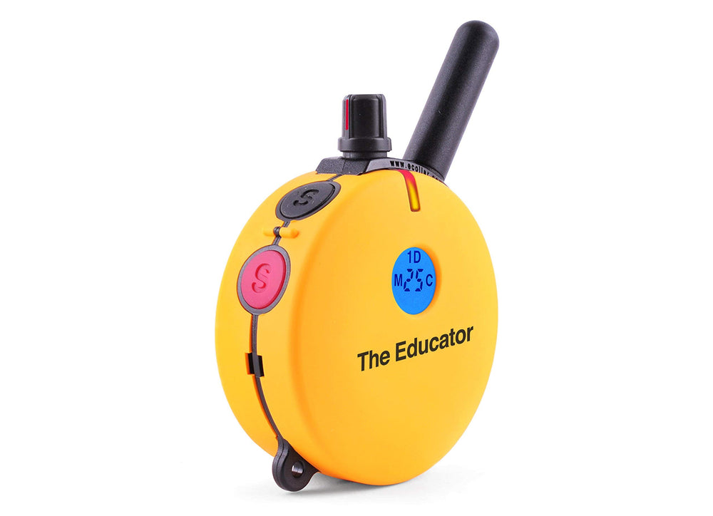 Educator ET-400 LED night light aids visibility during evening sessions.