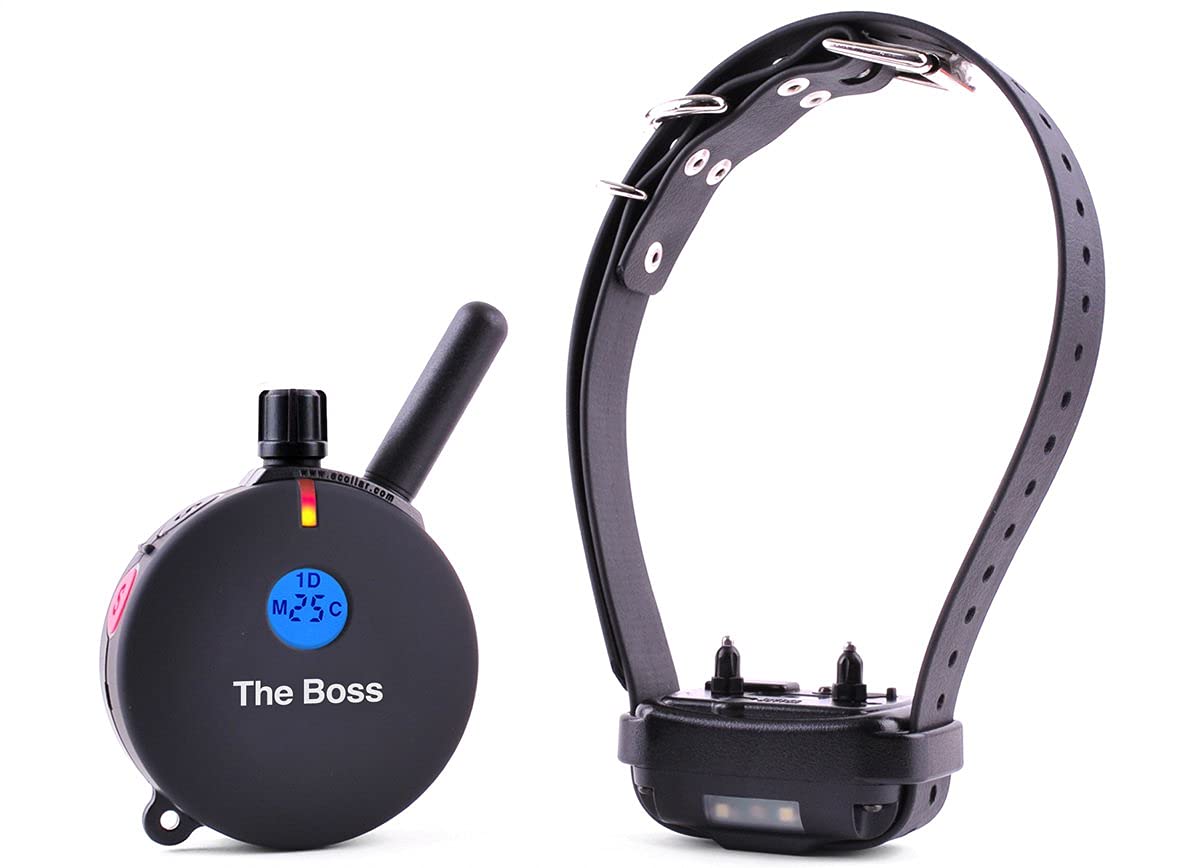 Educator ET-800 contact points set enabling gentle level adjustments.