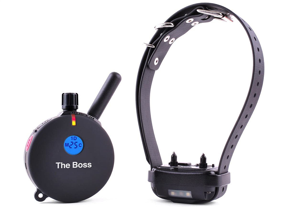 Educator ET-800 contact points set enabling gentle level adjustments.