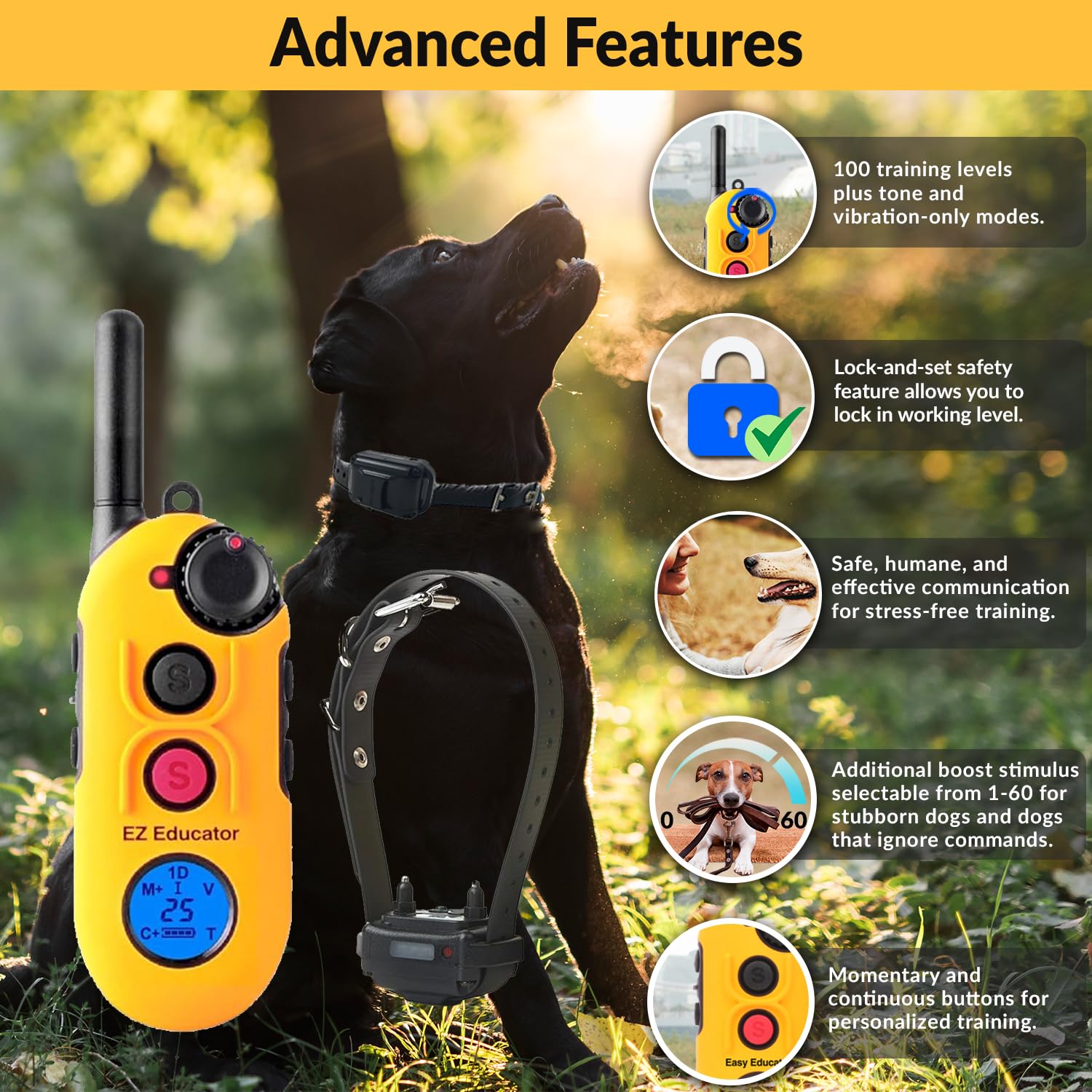 Educator EZ-900 ergonomic LCD remote for precise, discreet dog training.