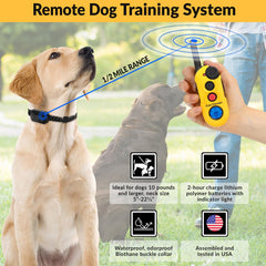 Educator EZ-900 waterproof Biothane collar for all-weather use.