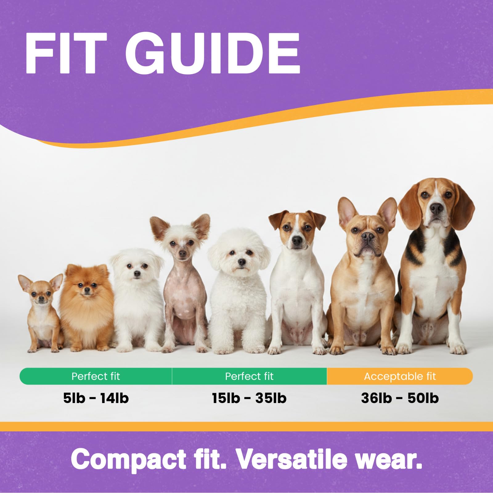 Educator ME-300 collar showing adjustable, comfortable fit for dogs.