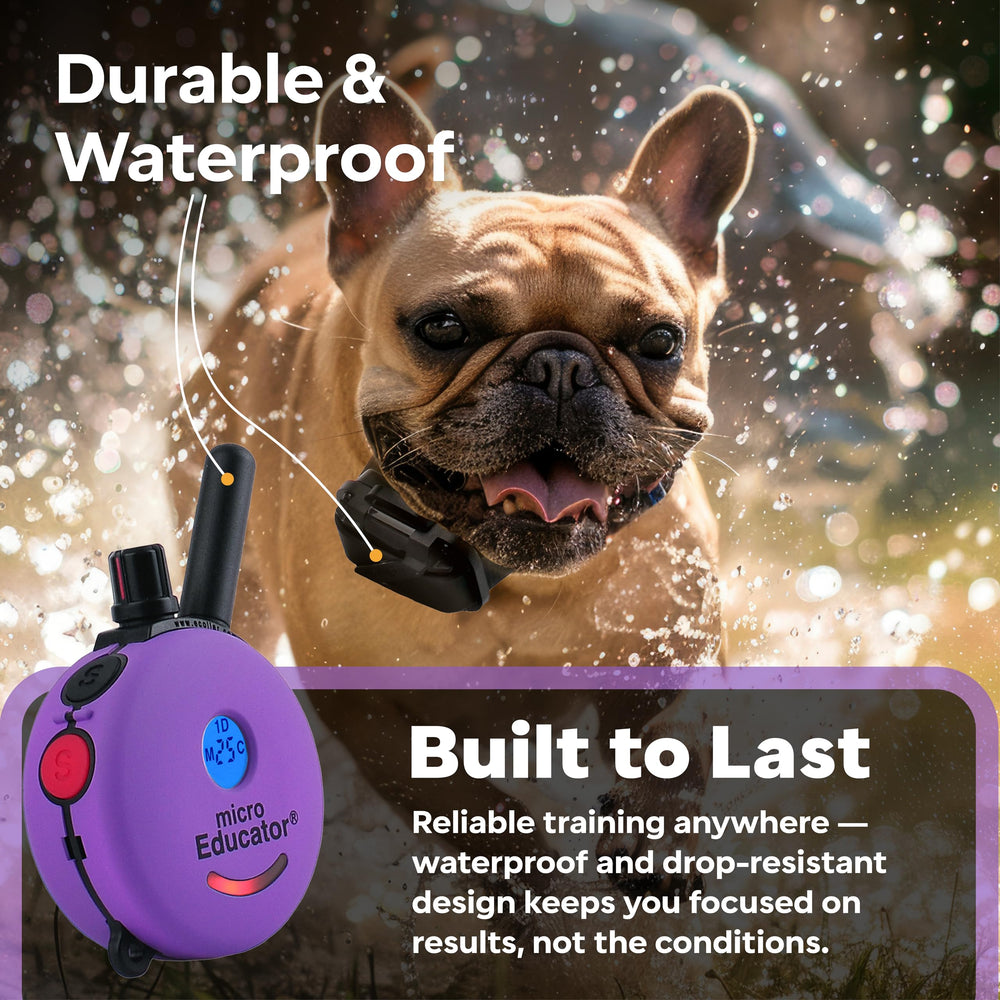 Educator ME-300 offers 100 stimulation levels for tailored cues.