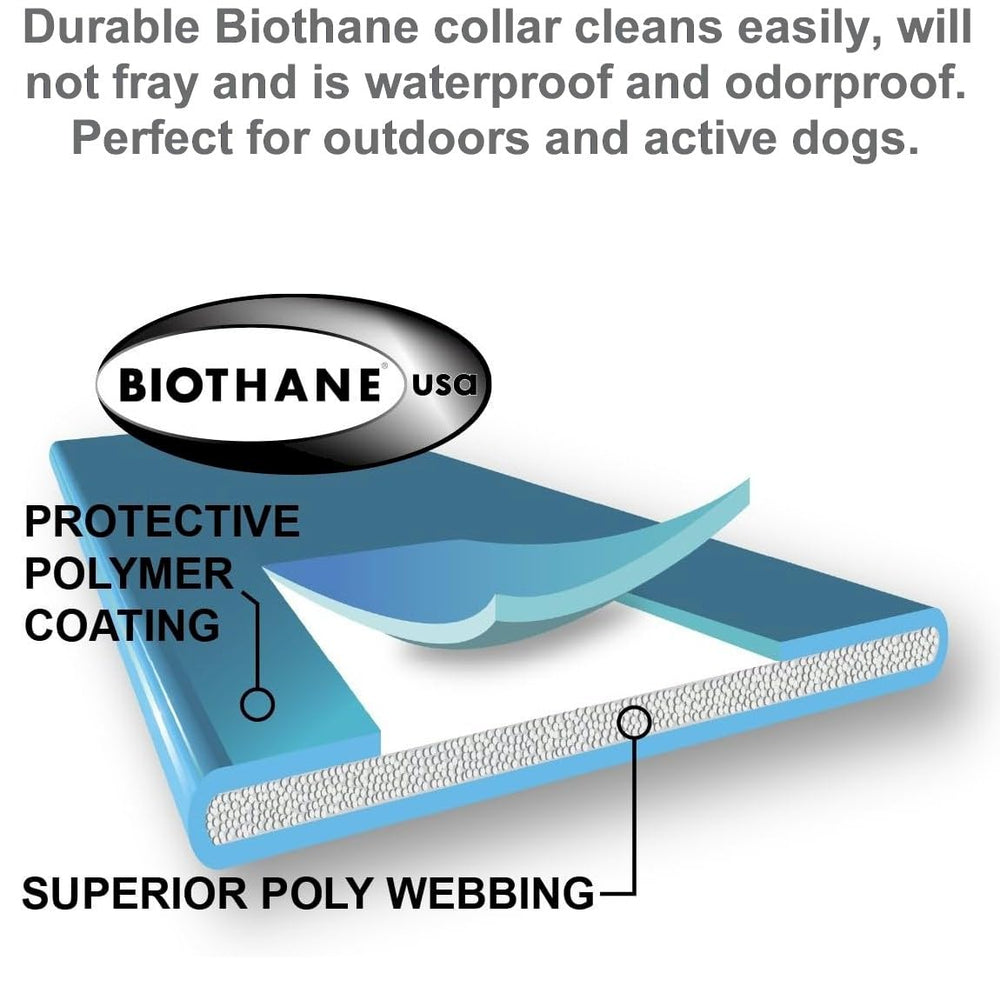 Educator PE-090 training use enables versatile off-leash practice with a second receiver.