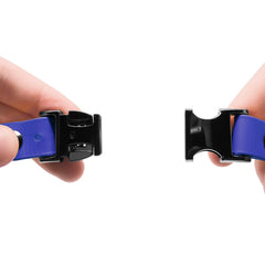 Educator D-ring and metal clasp for leash or ID tag attachment.