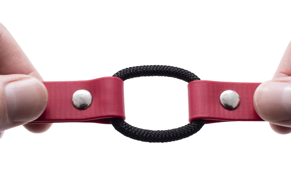 Educator trim-to-fit length guide for a precise fit on medium dogs.