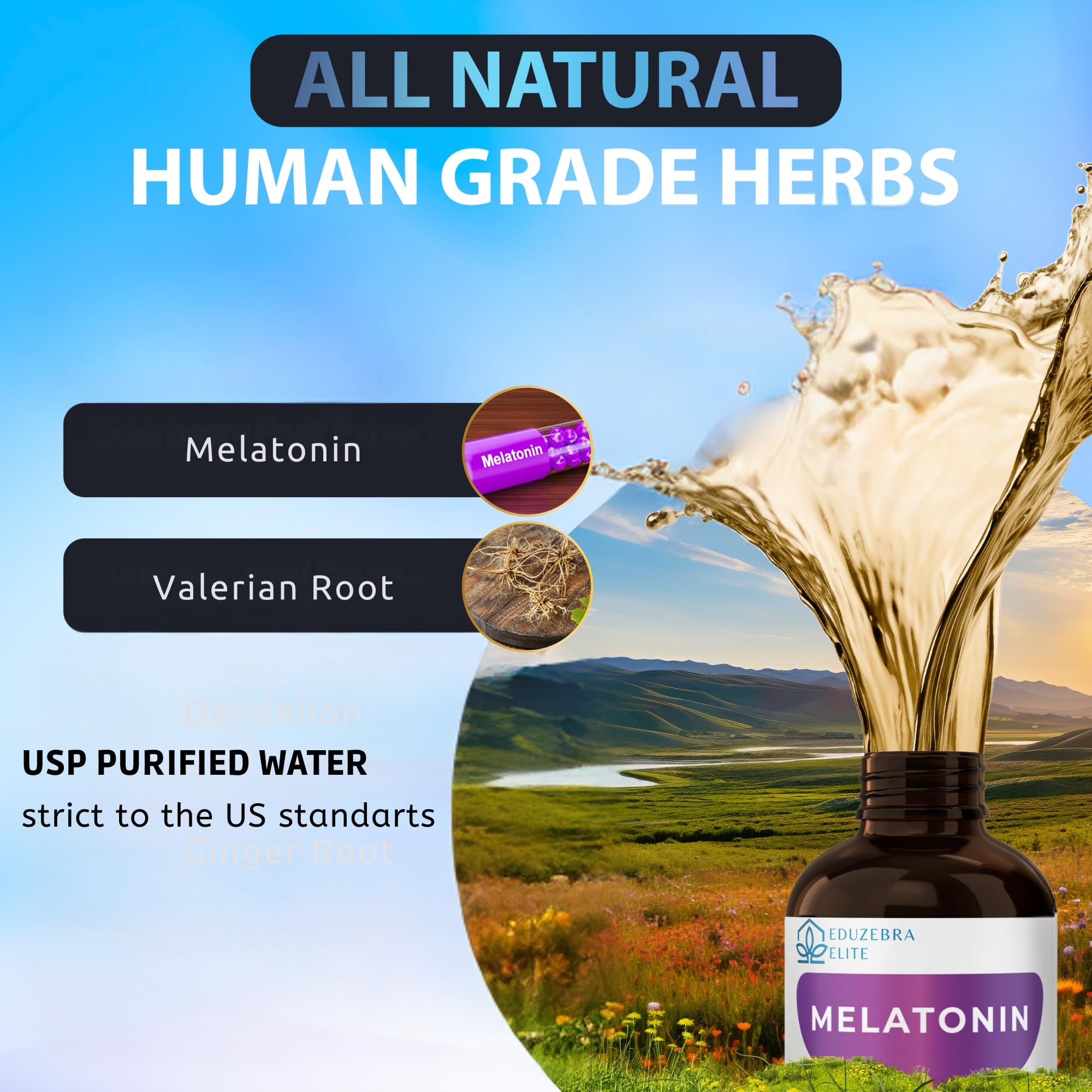 EDUZEBRA Cat Melatonin mixed into cat food shows easy ingestion and daily comfort