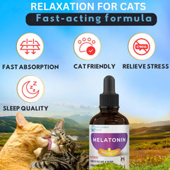 EDUZEBRA Cat Melatonin treat pack offers a convenient calming option for busy households