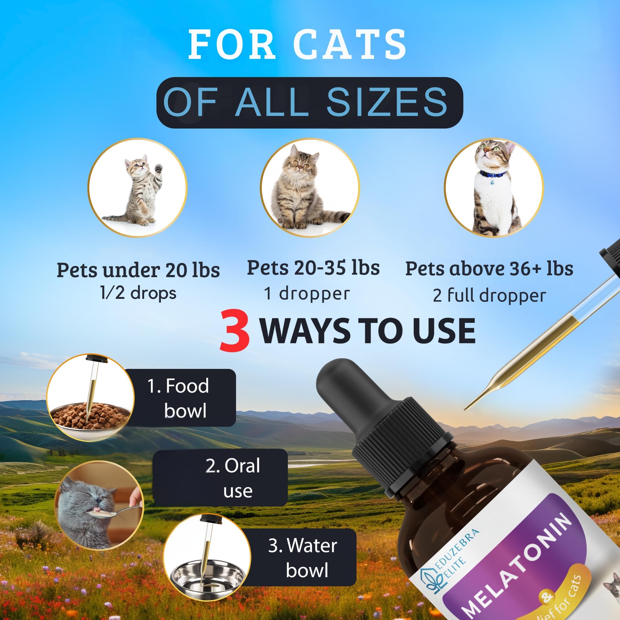EDUZEBRA Cat Melatonin relaxed sleeping cat demonstrates a calm nighttime routine