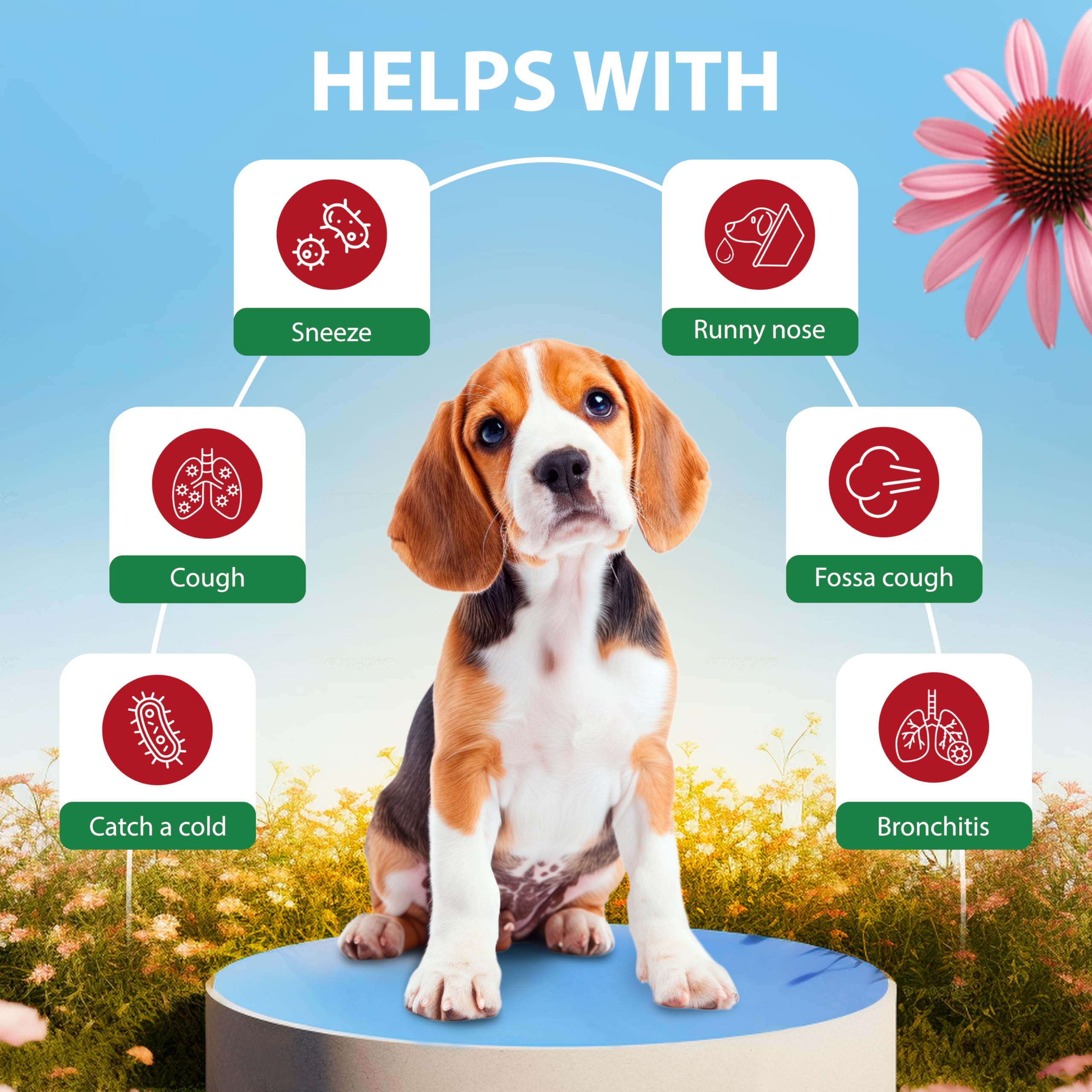 EduZebra drops applied to a dog for quick relief.