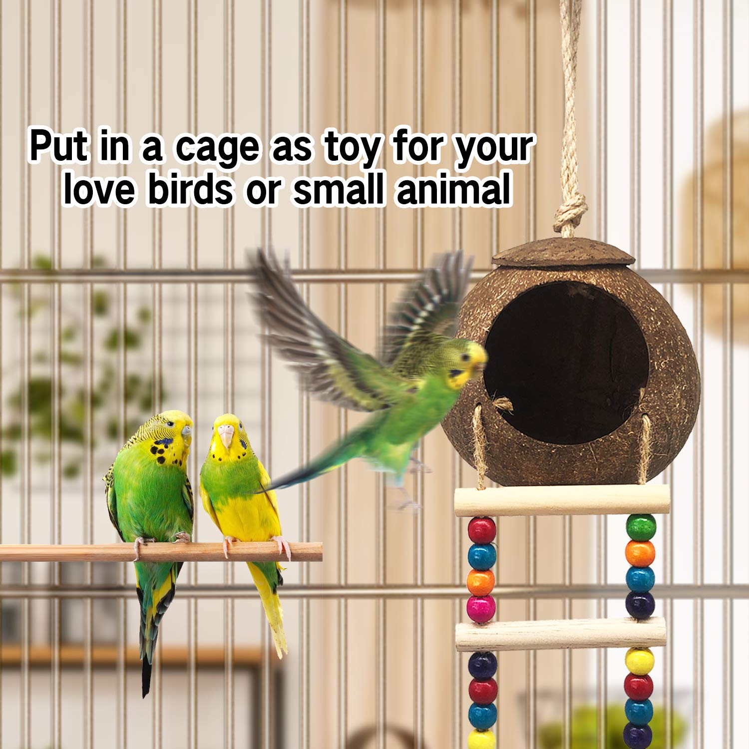 EEAIVNM rope ladder detail encourages foot and beak exercise for activity