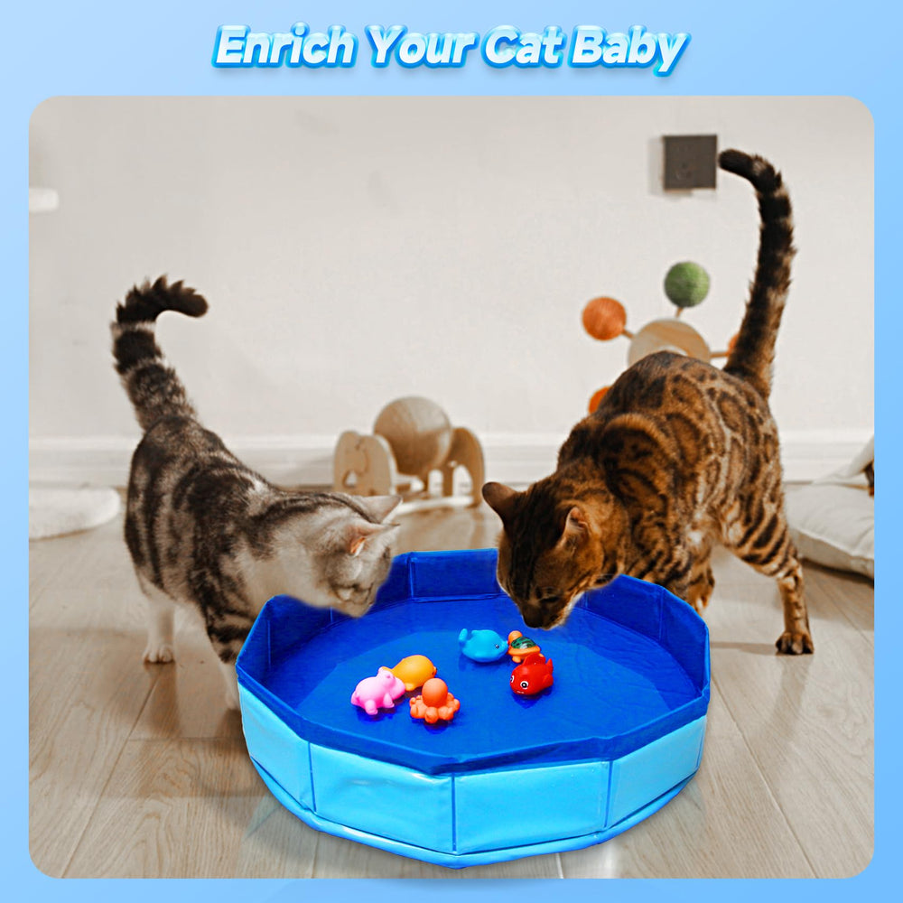 Eelexa cat pool edge splash-proof design protects floors during playful sessions.